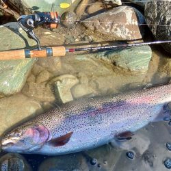 大物大漁となるはずが… ～天竜川ルアーフライ専用区～